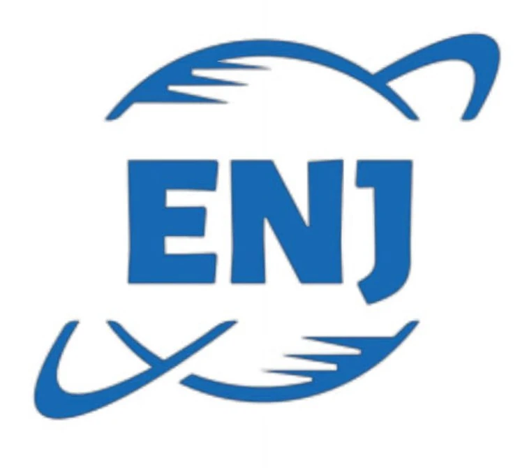 恩耐捷 LOGO